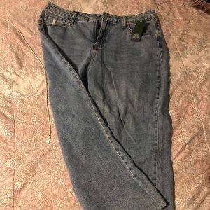 Wild Fable Target Skater style High waisted jeans